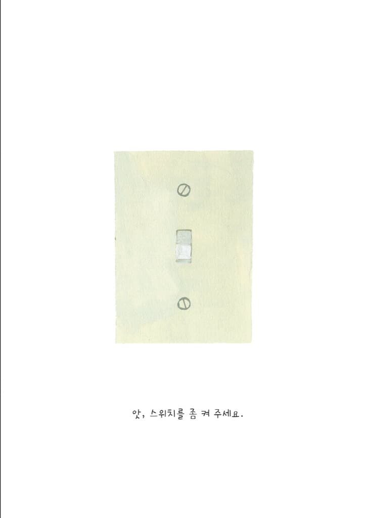레이의 세계