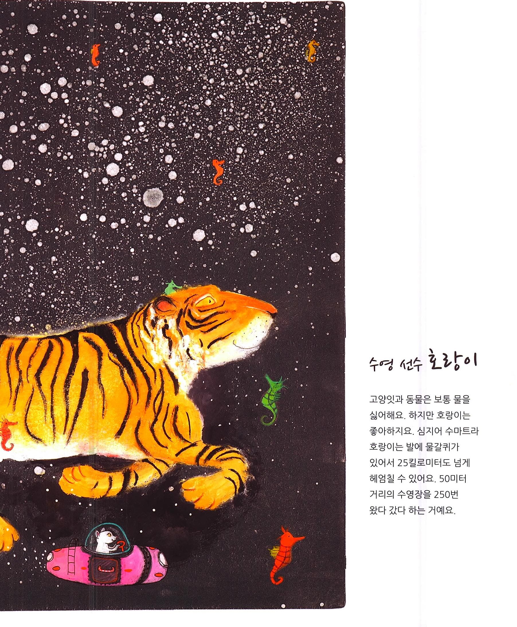 로켓 펭귄과 끝내주는 친구들