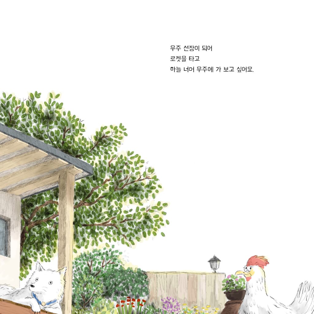 로켓아이