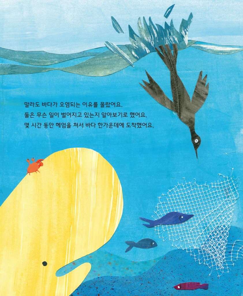 로타의 바다 구하기 대작전