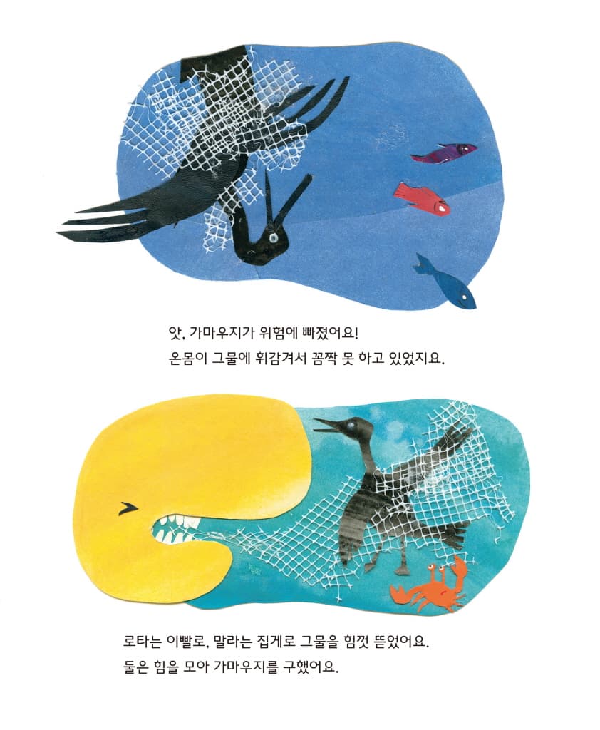 로타의 바다 구하기 대작전