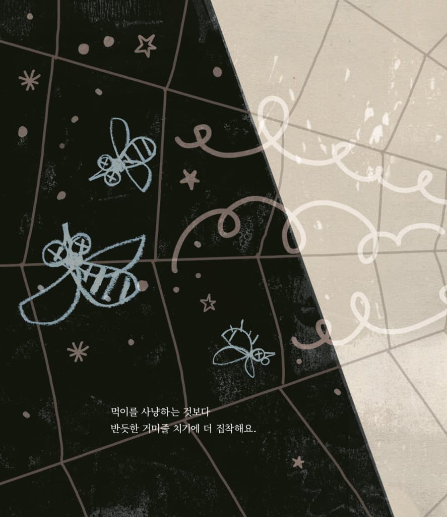 루시의 거미줄