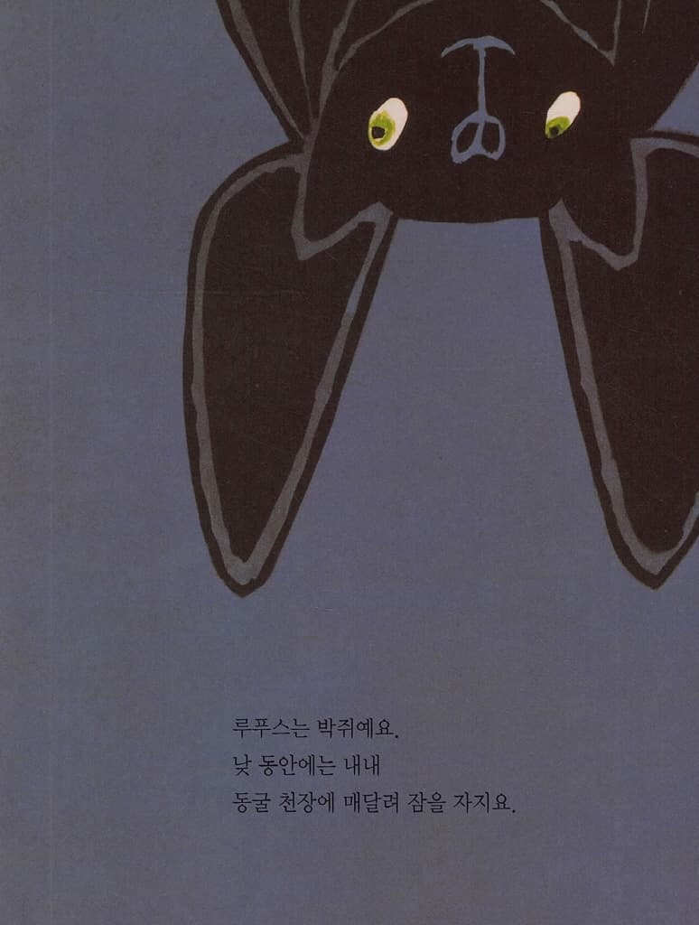 루푸스 색깔을 사랑한 박쥐