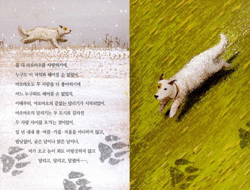 마오마오가 달린다