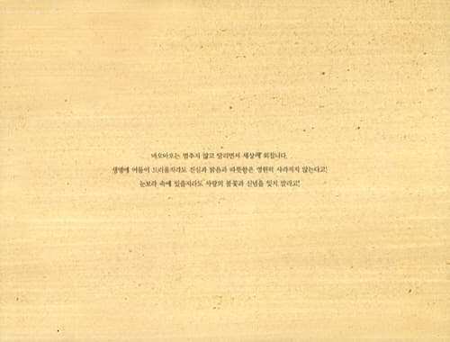마오마오가 달린다