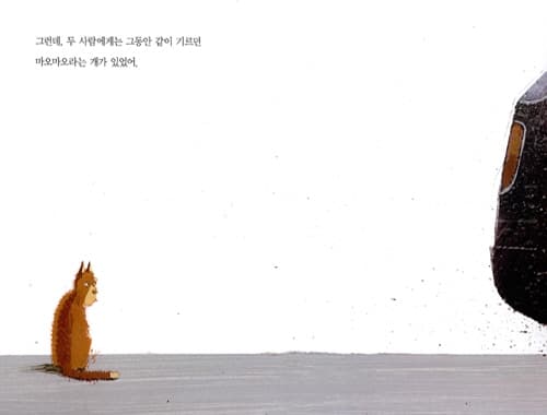 마오마오가 달린다