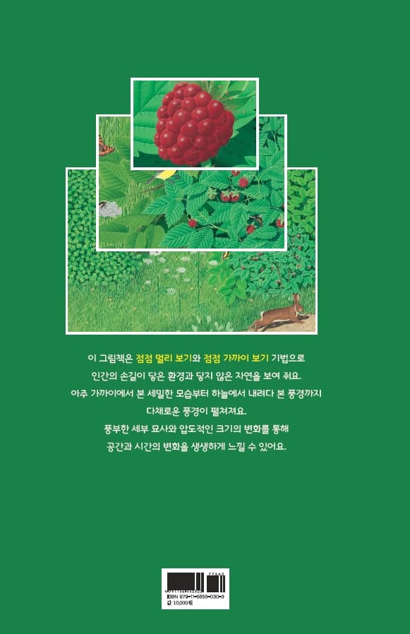 멀리 더 멀리 가까이 더 가까이 : 더 자세히 보는 자연