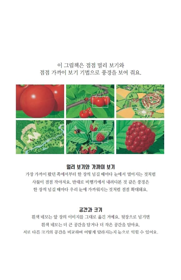 멀리 더 멀리 가까이 더 가까이 : 더 자세히 보는 자연
