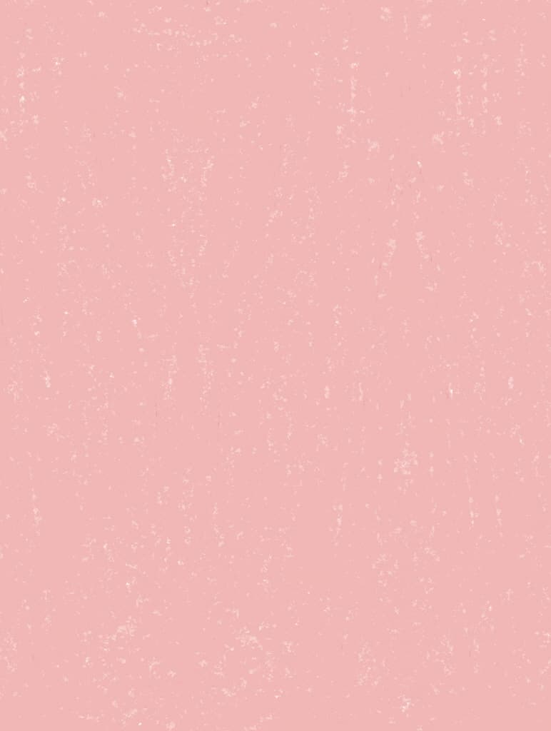 모두 다 꽃이야
