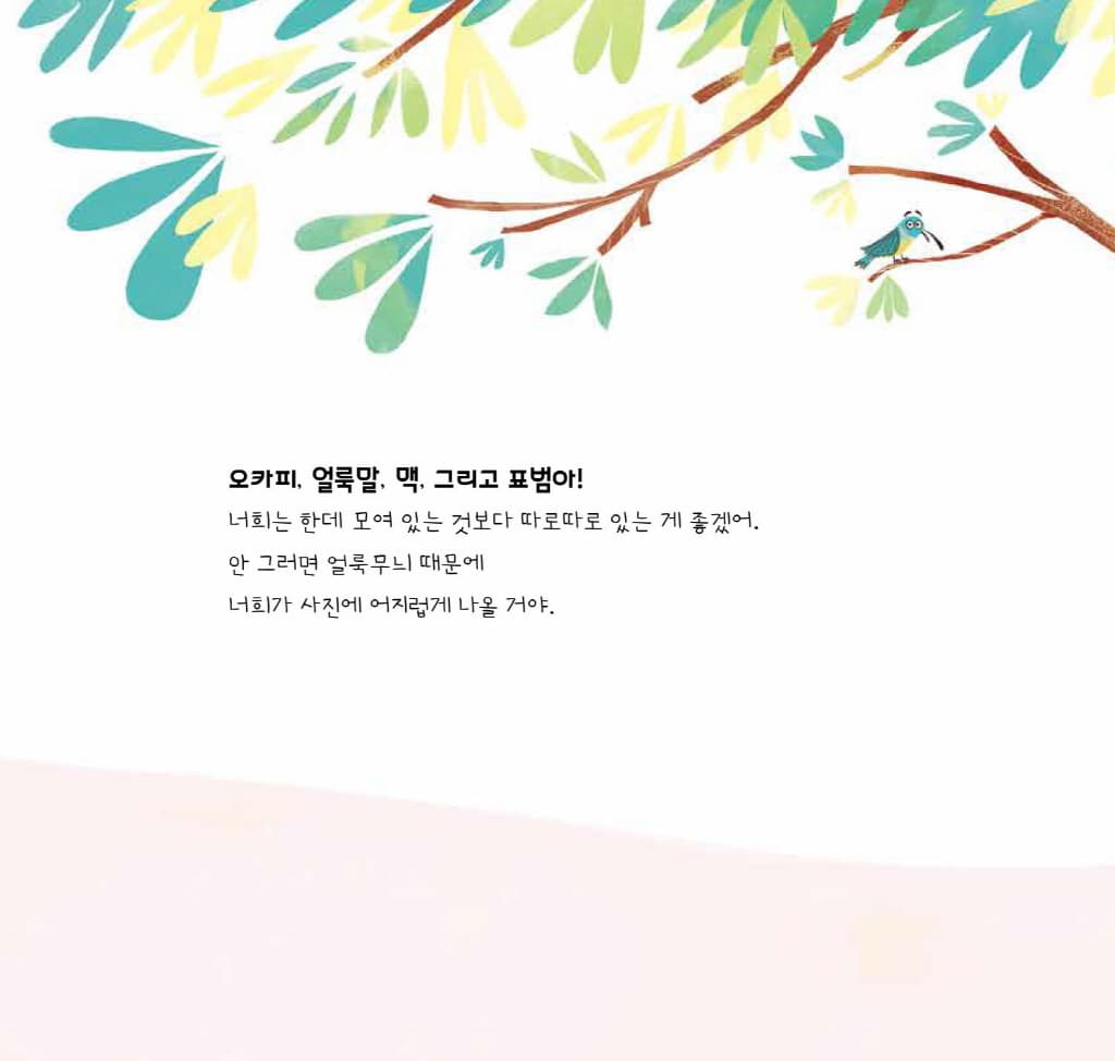 모여라, 사진 찍자