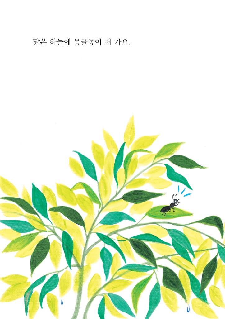 몽글몽
