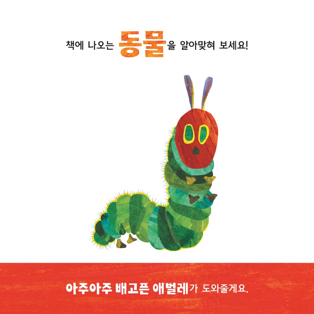 무엇일까, 무엇? : 동물 편
