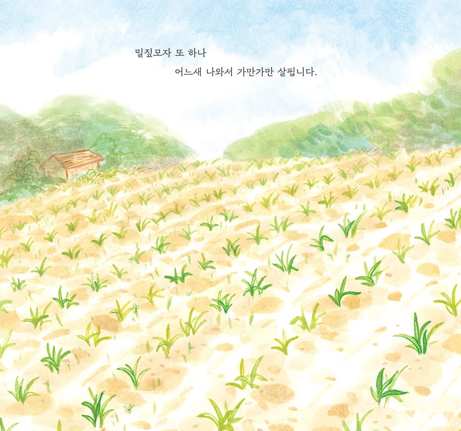 밀짚모자