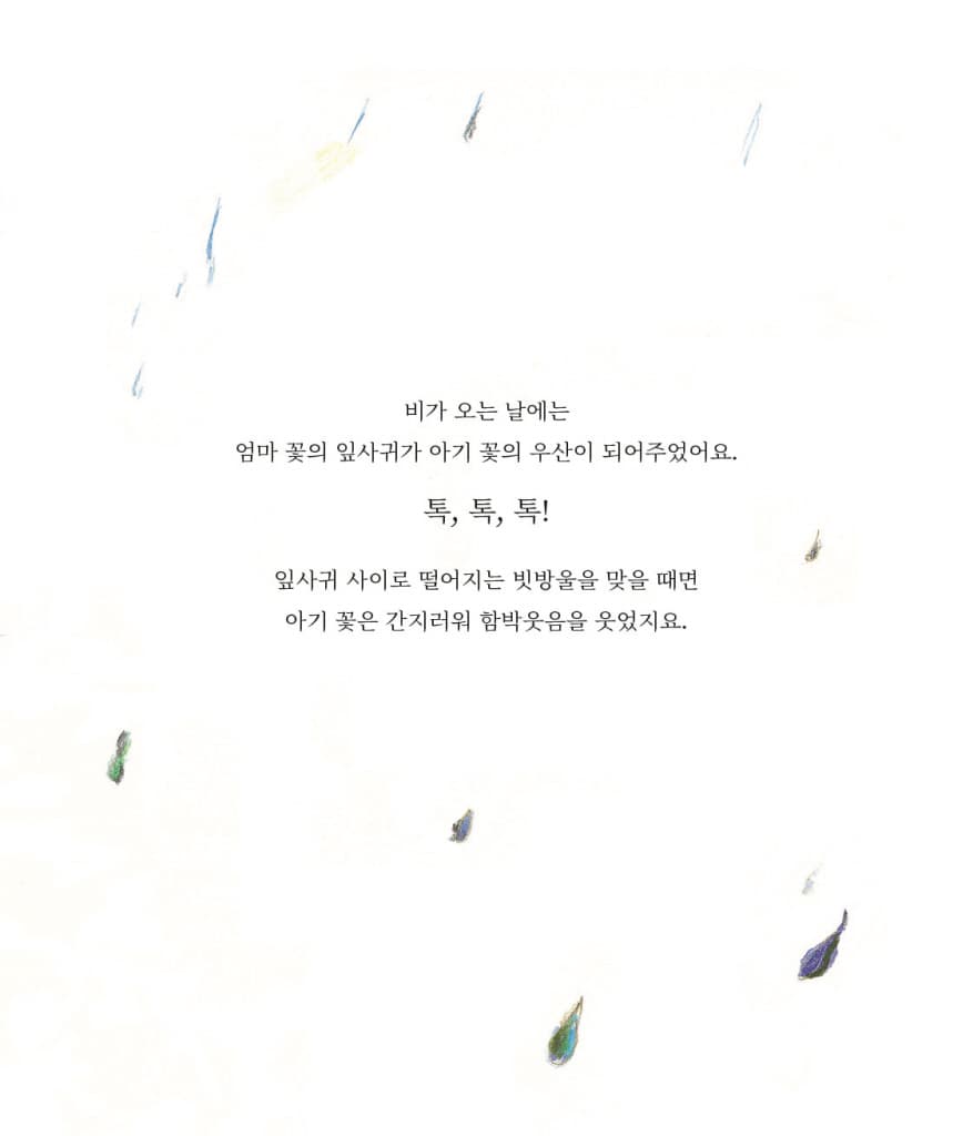 아기꽃