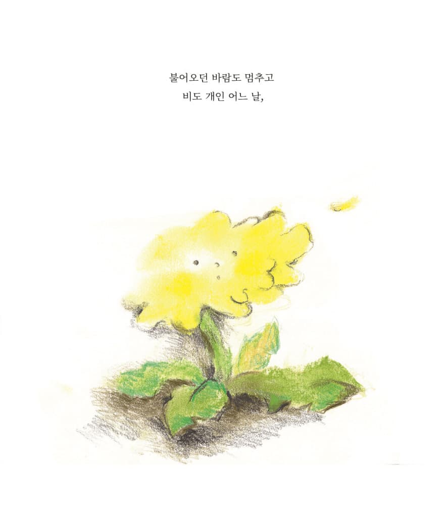아기꽃