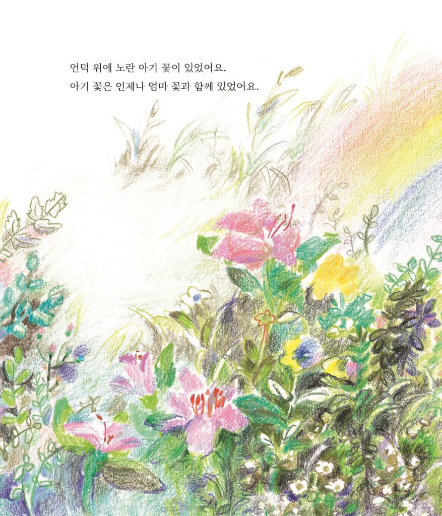 아기꽃