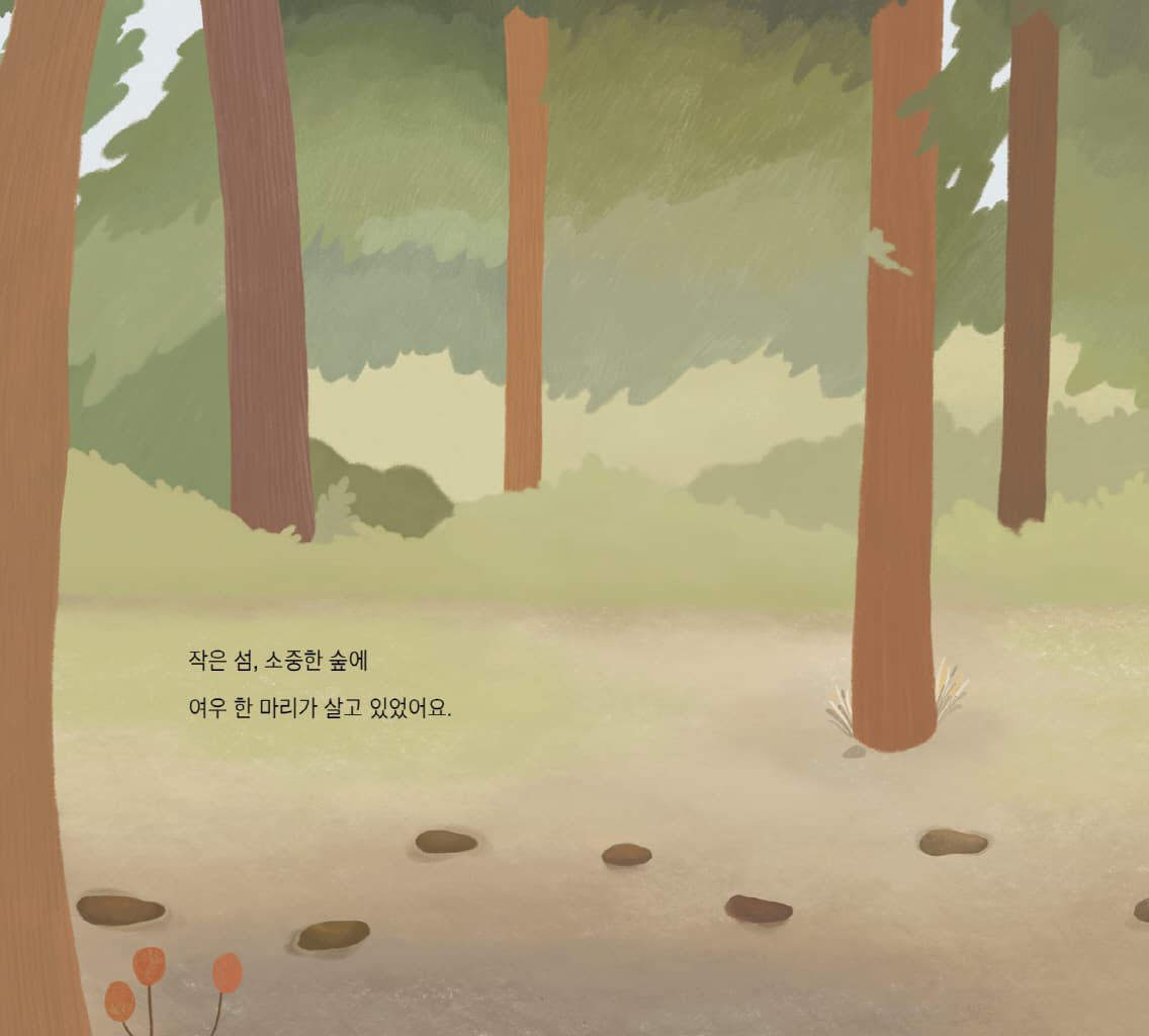 바다로 간 여우