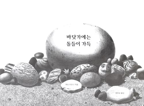 바닷가에는 돌들이 가득
