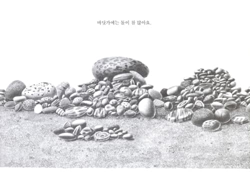 바닷가에는 돌들이 가득