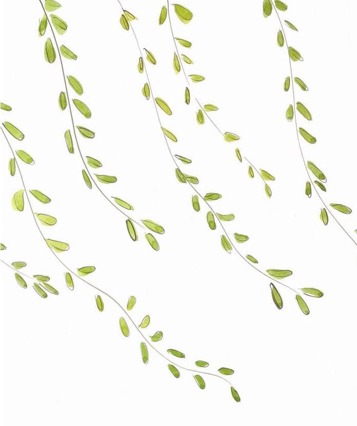 바람이 살랑