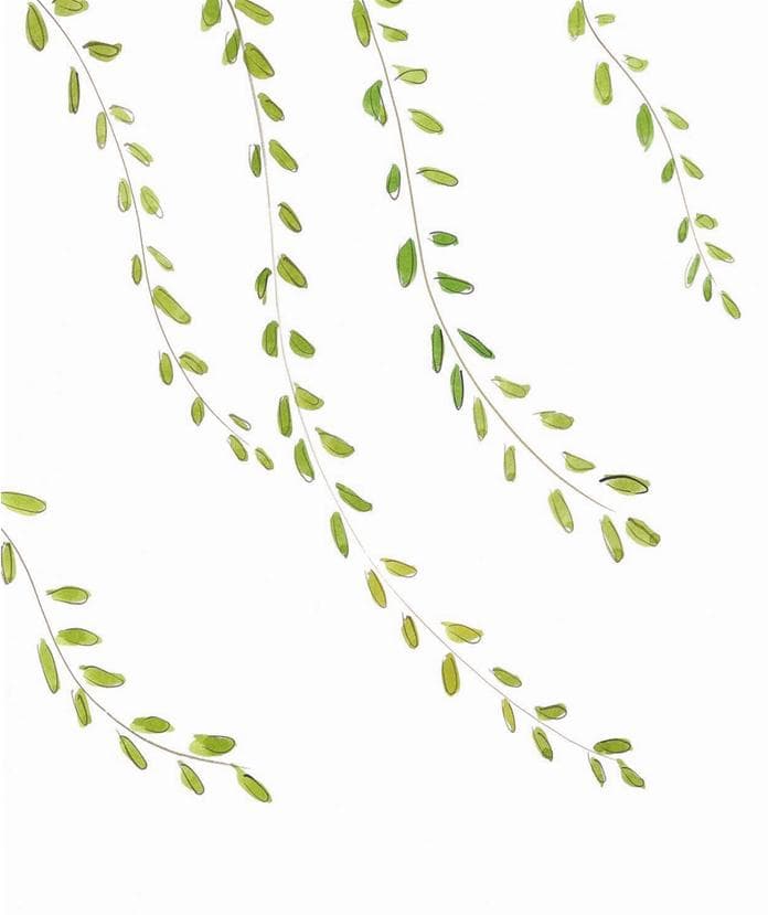바람이 살랑