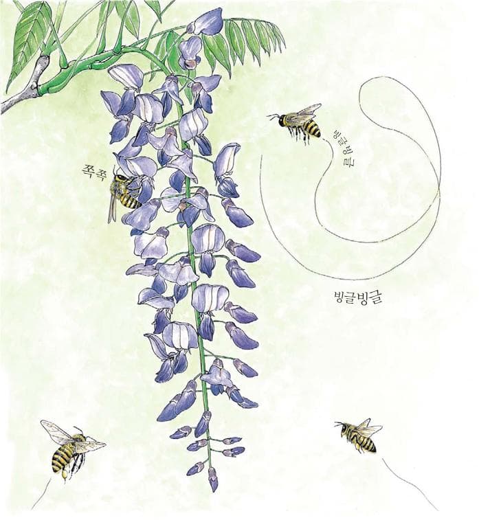 바빠요 바빠
