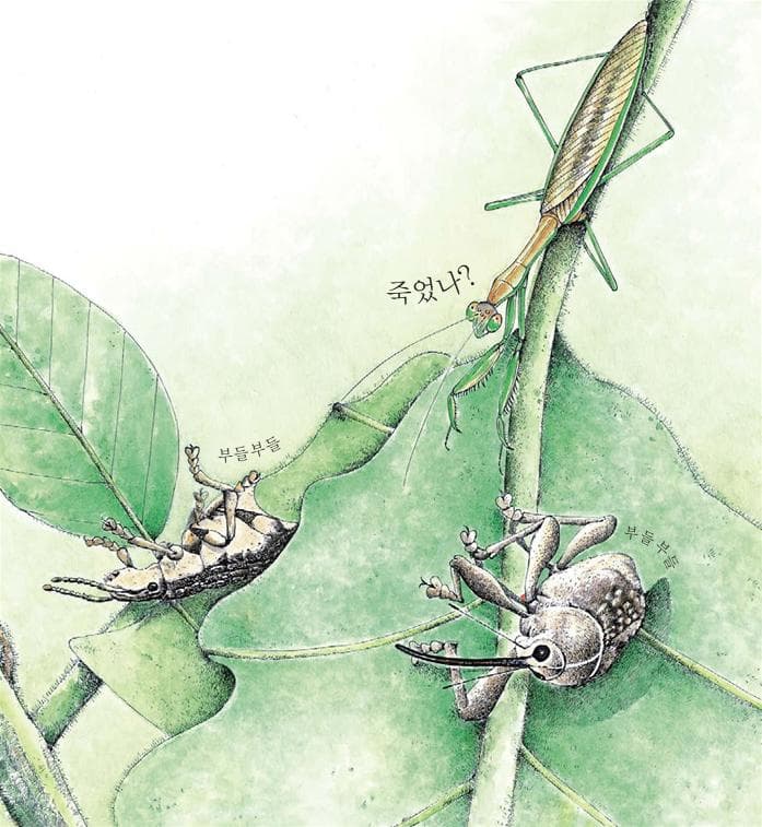 바빠요 바빠