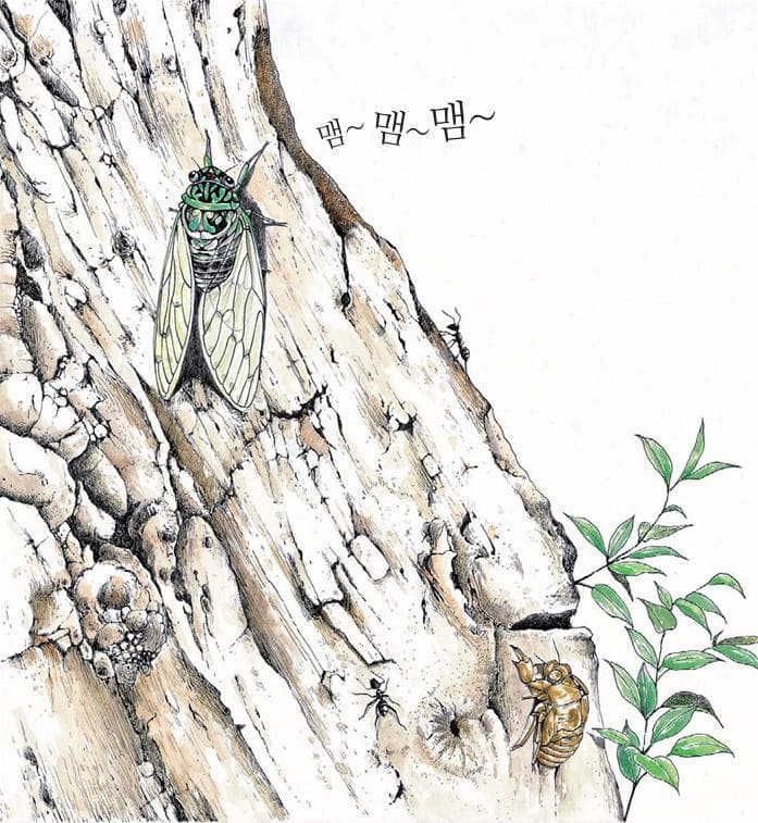 바빠요 바빠