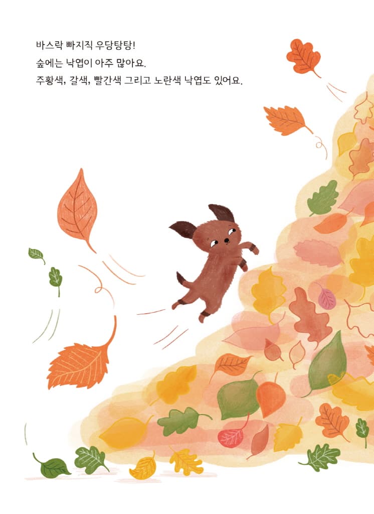 바스락바스락, 가을이에요!