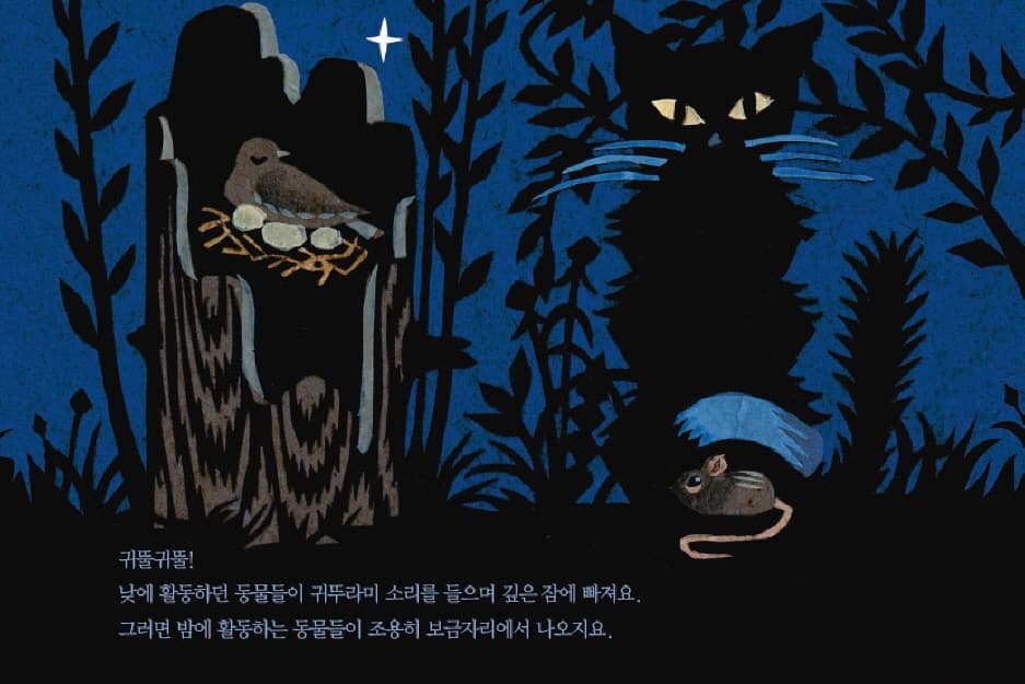 반짝반짝 반딧불이 춤춘다