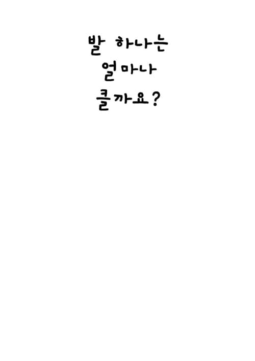 발 하나는 얼마나 클까요?