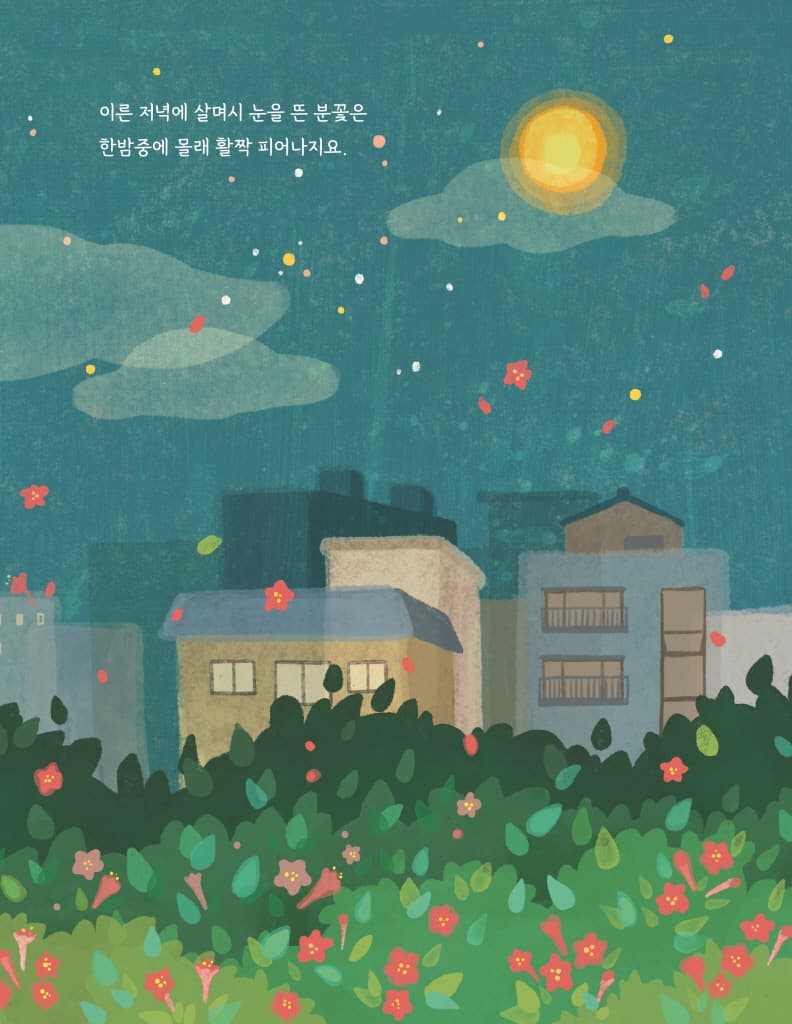 밤 산책