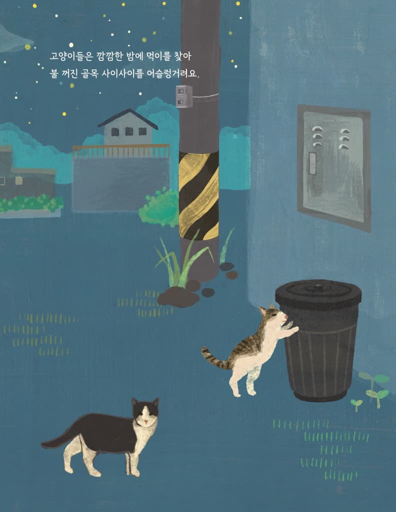 밤 산책