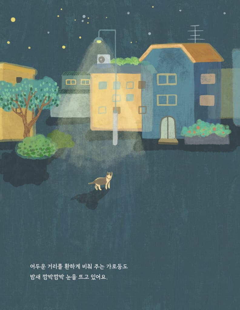 밤 산책