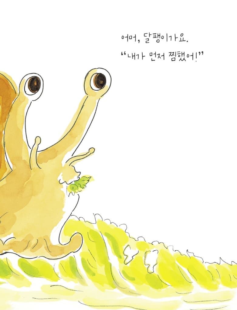 배추쌈