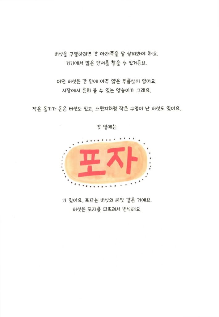 버섯 팬클럽