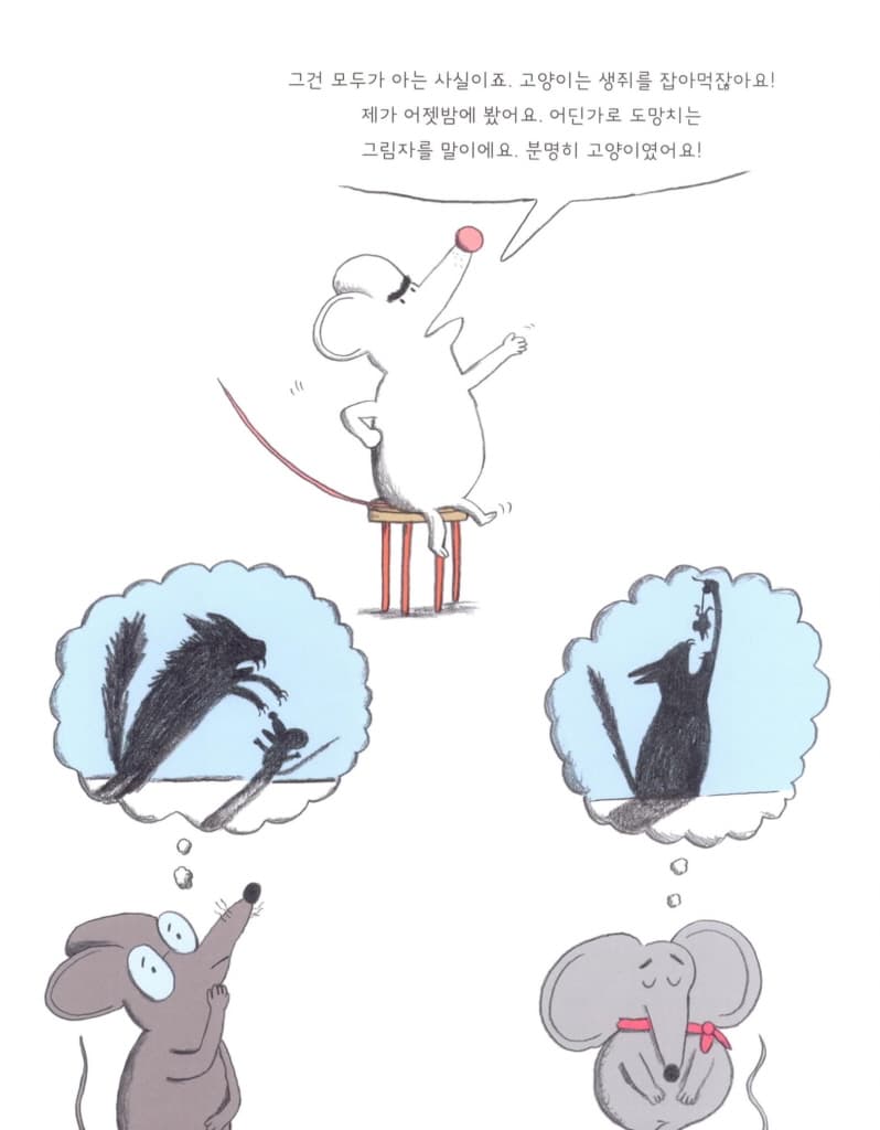 범인은 고양이야!