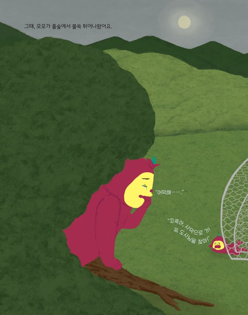 변신 요가