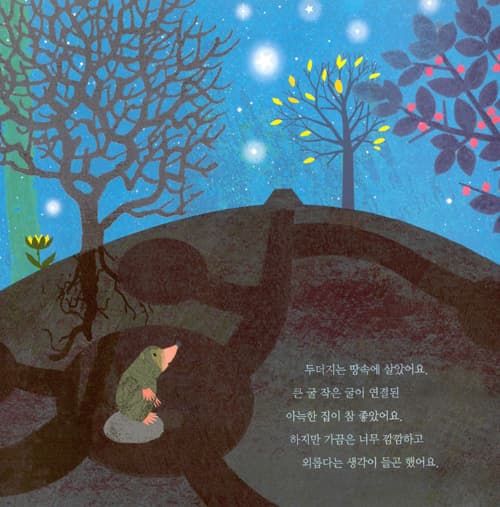 별을 사랑한 두더지