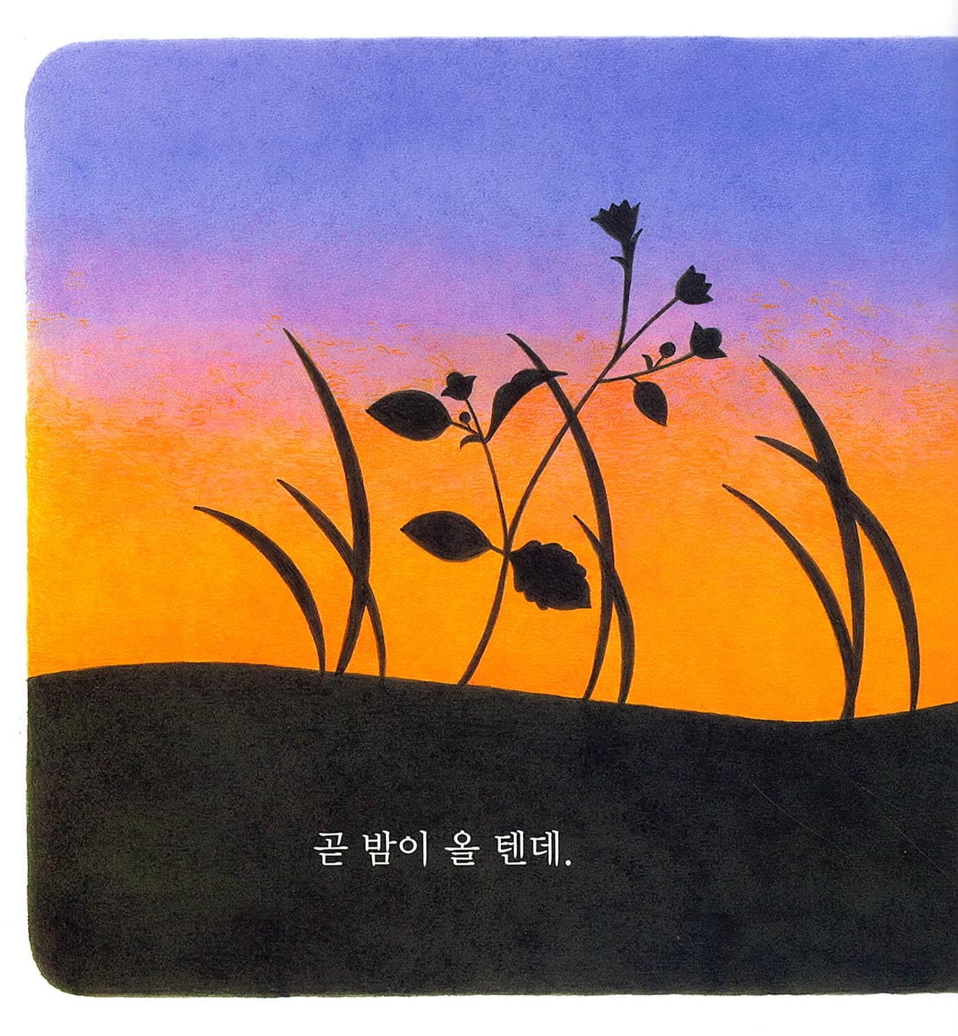 병아리