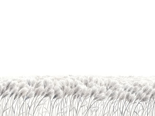 보리바다