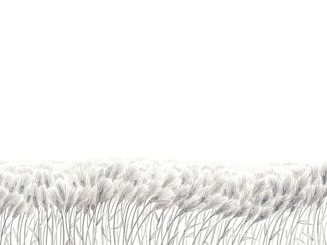 보리바다