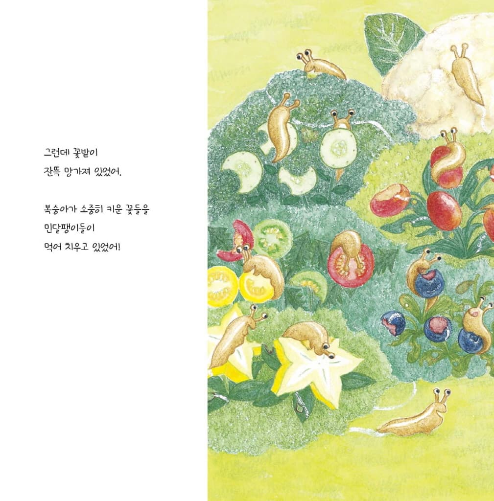 복숭아 씨앗 발사!