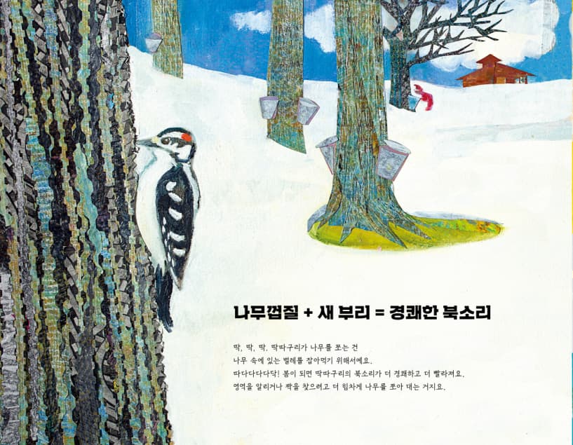 봄의 방정식