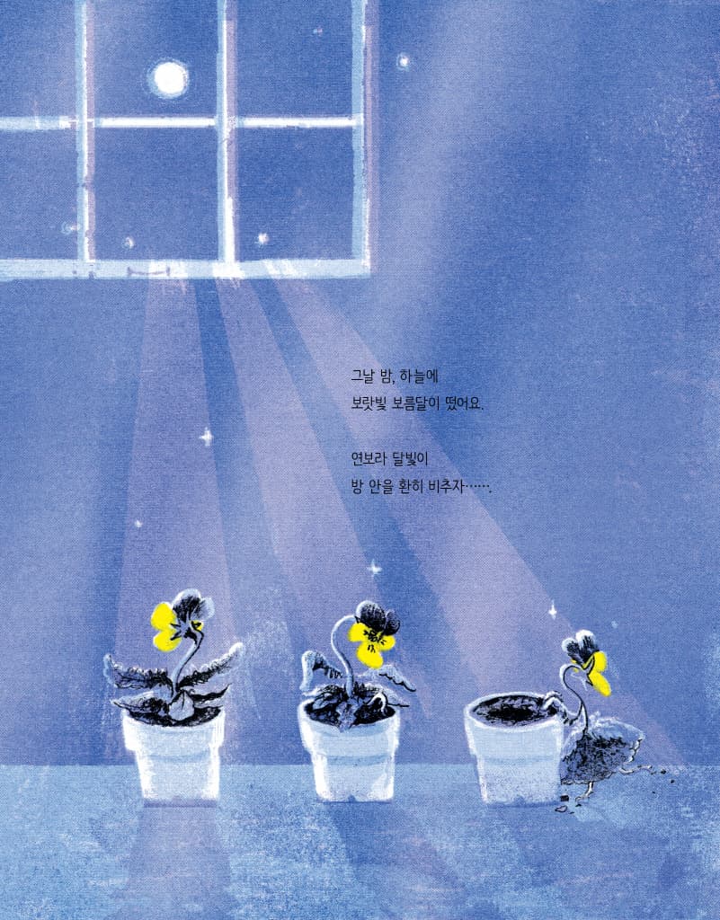 봄이와 제비꽃
