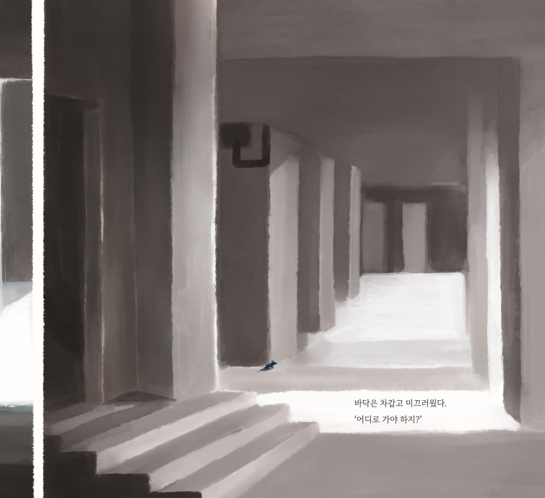 붉은 신