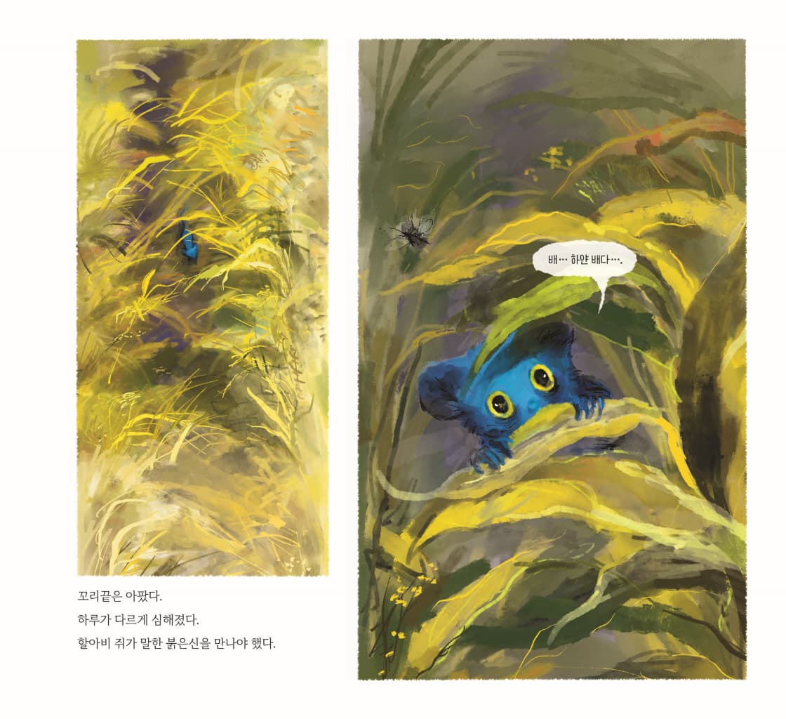 붉은 신