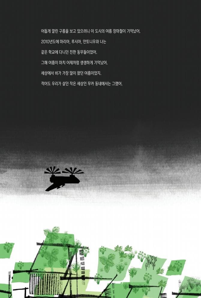 비 너머