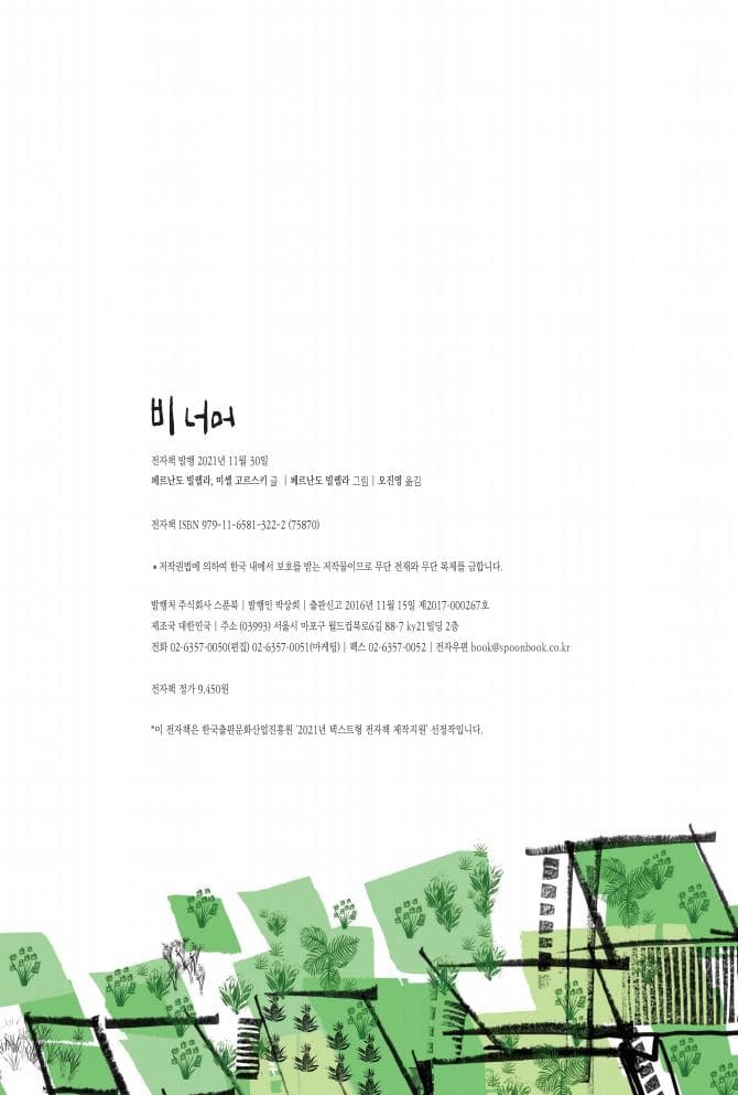 비 너머
