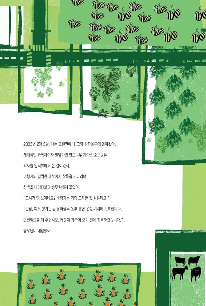 비 너머